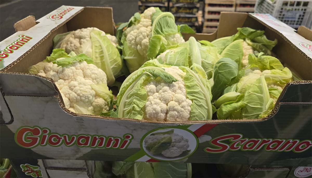 Cavolfiori - Campania - 1,50/1,60 euro al chilogrammo